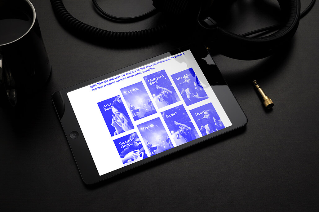 projects last-step-11